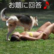 ヒメ日記 2024/12/09 14:29 投稿 ひかり 秘密倶楽部