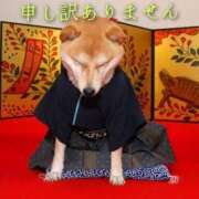 ヒメ日記 2025/01/02 11:46 投稿 ひかり 秘密倶楽部