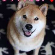 ヒメ日記 2025/01/06 10:33 投稿 ひかり 秘密倶楽部