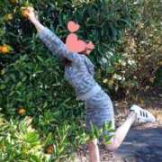 ヒメ日記 2025/03/13 23:34 投稿 ひかり 秘密倶楽部