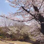 ヒメ日記 2025/04/05 20:25 投稿 ひかり 秘密倶楽部