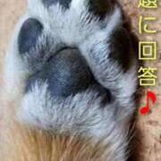 ヒメ日記 2025/04/30 11:39 投稿 ひかり 秘密倶楽部