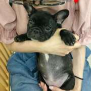 ヒメ日記 2025/05/13 23:36 投稿 ひかり 秘密倶楽部