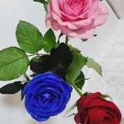 ヒメ日記 2025/05/19 09:36 投稿 ひかり 秘密倶楽部