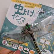 ヒメ日記 2025/06/01 10:14 投稿 ひかり 秘密倶楽部