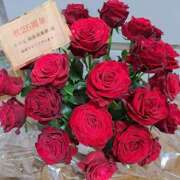 ヒメ日記 2025/06/06 10:38 投稿 ひかり 秘密倶楽部