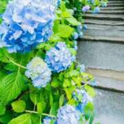 ヒメ日記 2025/06/10 11:57 投稿 ひかり 秘密倶楽部