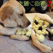 ヒメ日記 2025/06/21 10:42 投稿 ひかり 秘密倶楽部