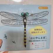 ヒメ日記 2025/06/29 23:59 投稿 ひかり 秘密倶楽部