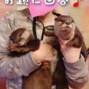 ヒメ日記 2025/07/01 23:51 投稿 ひかり 秘密倶楽部