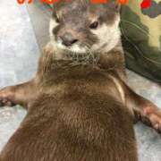 ヒメ日記 2025/07/09 09:04 投稿 ひかり 秘密倶楽部