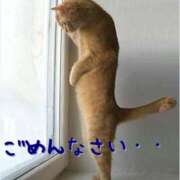 ヒメ日記 2025/07/14 09:01 投稿 ひかり 秘密倶楽部