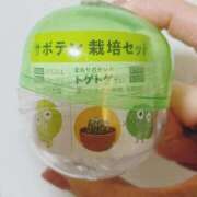 ヒメ日記 2025/09/16 16:17 投稿 ひかり 秘密倶楽部