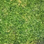 ヒメ日記 2025/10/16 21:00 投稿 ひかり 秘密倶楽部