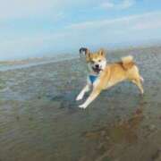 ヒメ日記 2025/11/01 10:10 投稿 ひかり 秘密倶楽部