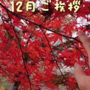 ヒメ日記 2025/12/01 10:54 投稿 ひかり 秘密倶楽部