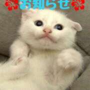 ヒメ日記 2025/12/17 12:14 投稿 ひかり 秘密倶楽部