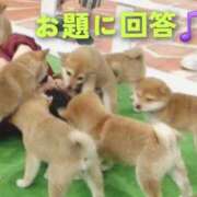 ヒメ日記 2026/01/11 16:39 投稿 ひかり 秘密倶楽部