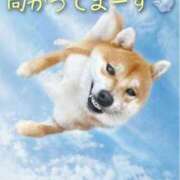 ヒメ日記 2026/02/15 09:25 投稿 ひかり 秘密倶楽部