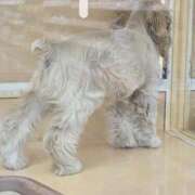 ヒメ日記 2026/02/24 14:00 投稿 ひかり 秘密倶楽部