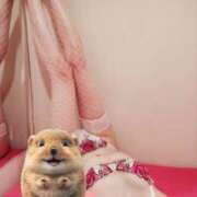 ヒメ日記 2026/03/08 23:15 投稿 ひかり 秘密倶楽部