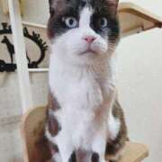 ヒメ日記 2026/03/17 23:33 投稿 ひかり 秘密倶楽部