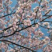 ヒメ日記 2026/03/24 17:53 投稿 ひかり 秘密倶楽部