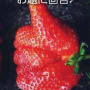 ヒメ日記 2026/03/31 23:13 投稿 ひかり 秘密倶楽部