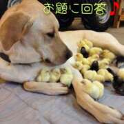 ヒメ日記 2026/05/02 09:58 投稿 ひかり 秘密倶楽部
