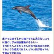 ヒメ日記 2026/05/16 23:36 投稿 ひかり 秘密倶楽部