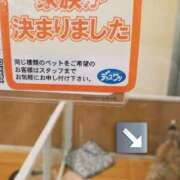 ヒメ日記 2026/05/19 14:33 投稿 ひかり 秘密倶楽部