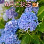 ヒメ日記 2026/06/01 17:35 投稿 ひかり 秘密倶楽部