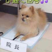 ヒメ日記 2026/06/14 19:15 投稿 ひかり 秘密倶楽部