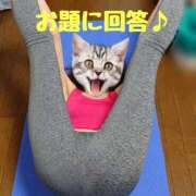 ヒメ日記 2026/06/29 10:57 投稿 ひかり 秘密倶楽部