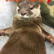 ヒメ日記 2026/07/07 21:02 投稿 ひかり 秘密倶楽部