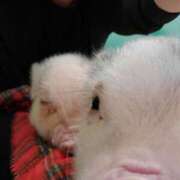 ヒメ日記 2025/06/23 18:26 投稿 はる 大阪人妻援護会