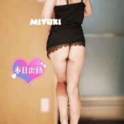 ヒメ日記 2025/11/11 11:28 投稿 みゆき 五反田人妻ヒットパレード（シンデレラグループ）