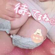 ヒメ日記 2024/12/08 20:55 投稿 せら ナチュラルプリンセス