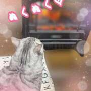 ヒメ日記 2024/12/11 02:45 投稿 せら ナチュラルプリンセス