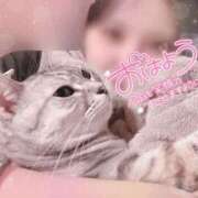 ヒメ日記 2024/12/11 16:15 投稿 せら ナチュラルプリンセス