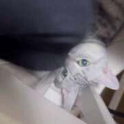 ヒメ日記 2024/12/11 19:55 投稿 せら ナチュラルプリンセス