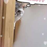 ヒメ日記 2024/12/14 06:45 投稿 せら ナチュラルプリンセス