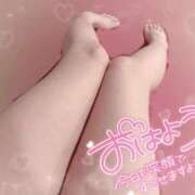 ヒメ日記 2024/12/14 14:35 投稿 せら ナチュラルプリンセス