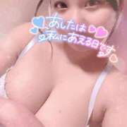 ヒメ日記 2024/12/17 21:41 投稿 せら ナチュラルプリンセス