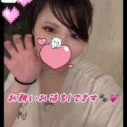 ヒメ日記 2025/03/31 17:15 投稿 せら ナチュラルプリンセス