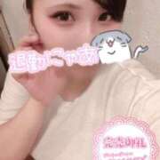 ヒメ日記 2025/04/21 08:55 投稿 せら ナチュラルプリンセス