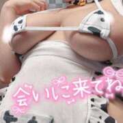 ヒメ日記 2025/04/26 19:51 投稿 せら ナチュラルプリンセス