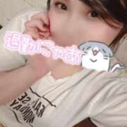 ヒメ日記 2025/04/28 07:22 投稿 せら ナチュラルプリンセス