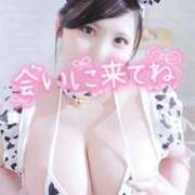 ヒメ日記 2025/04/28 17:13 投稿 せら ナチュラルプリンセス