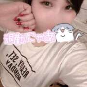 ヒメ日記 2025/04/30 00:25 投稿 せら ナチュラルプリンセス